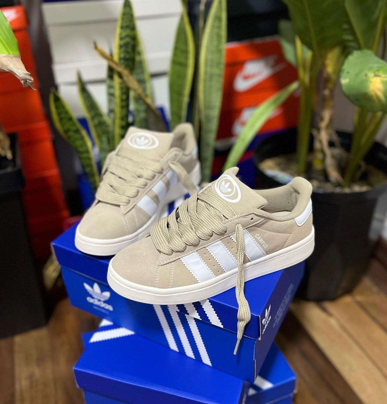 Adidas Campus Beige