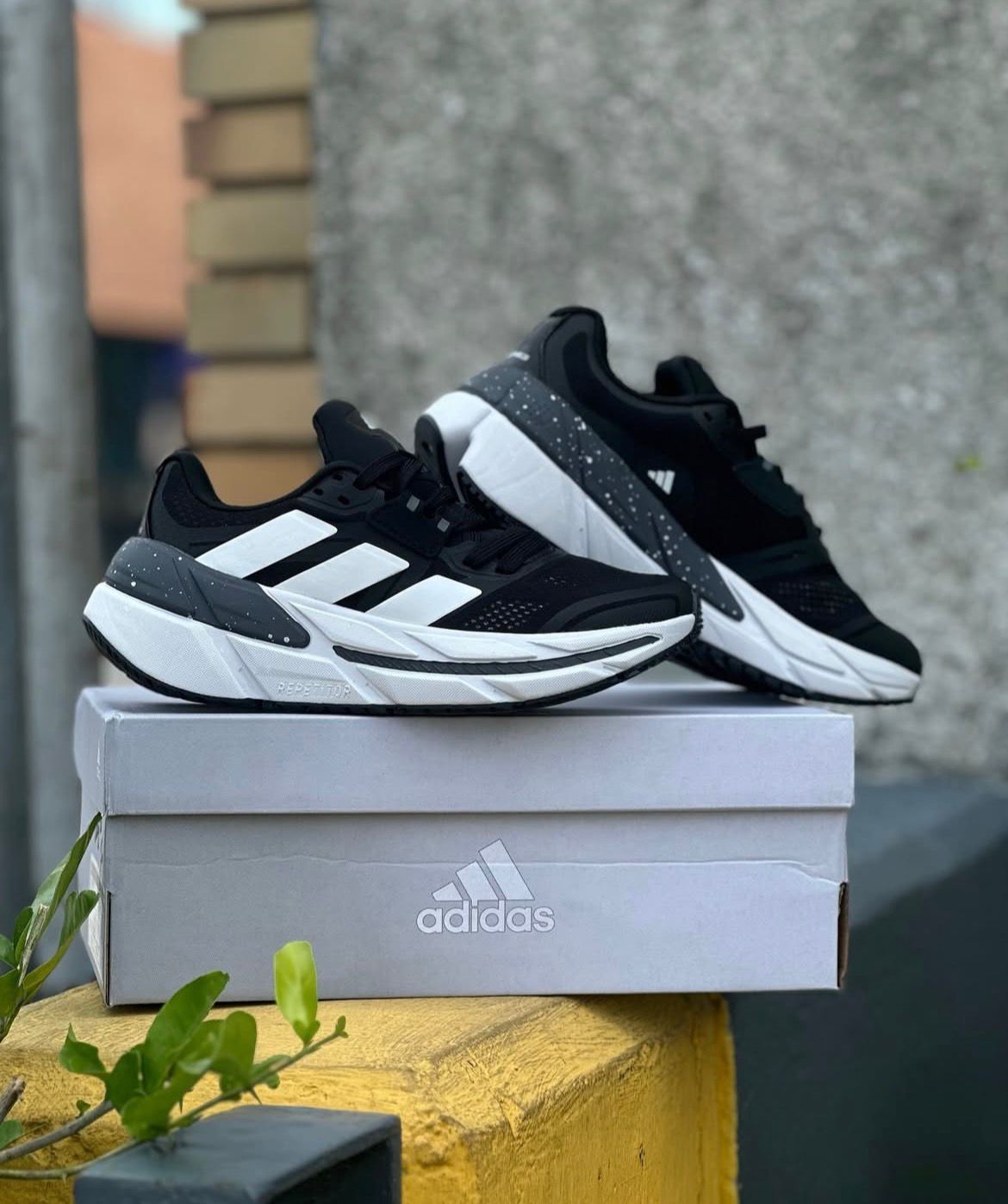 ADIDAS ADISTAR NEGRO / BLANCO