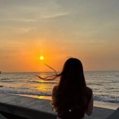 Sofia R. avatar